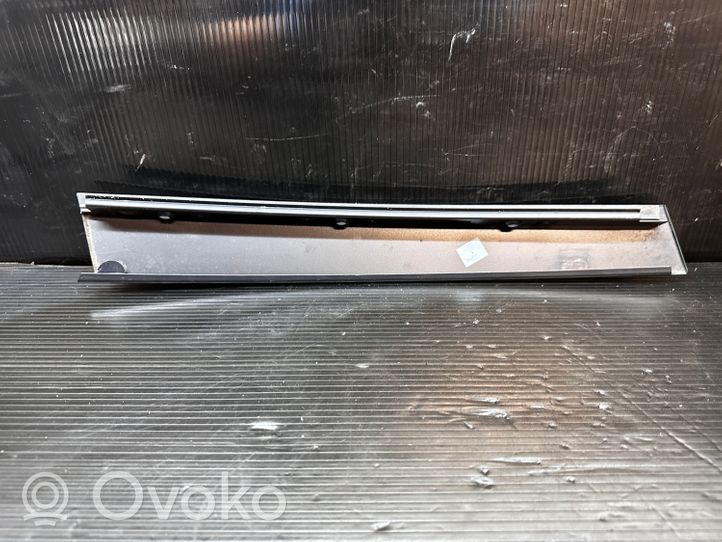 Volvo V50 Front door glass trim molding 08622652