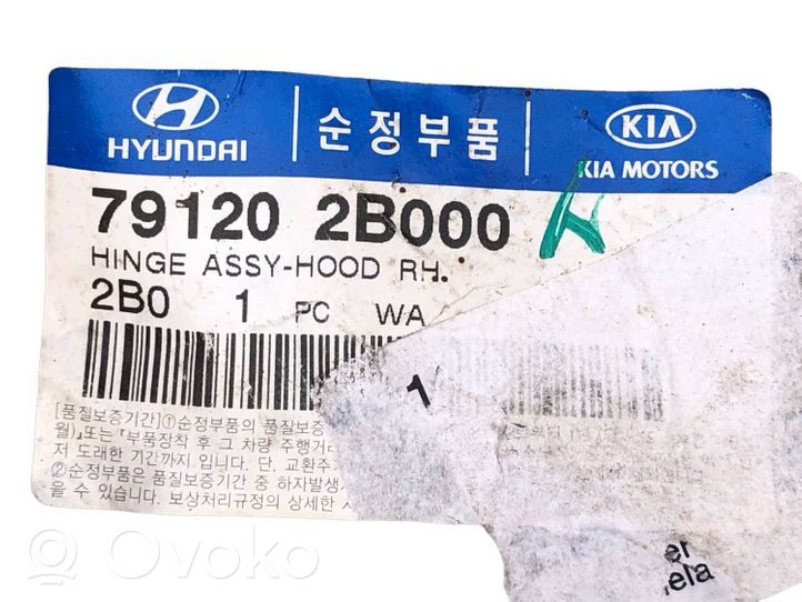 Hyundai Santa Fe Bisagras del capó/tapa del motor 791202B000