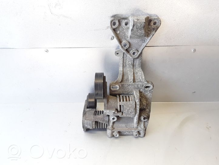 Volvo C70 Tendicinghia generatore/alternatore 