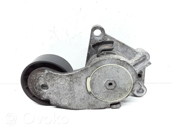 Volvo V40 Tendicinghia generatore/alternatore 