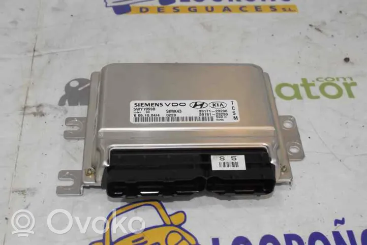 Hyundai Tucson LM Sterownik / Moduł ECU 3918123230