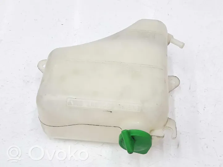 Suzuki Grand Vitara II Serbatoio di compensazione del liquido refrigerante/vaschetta 1793165J00