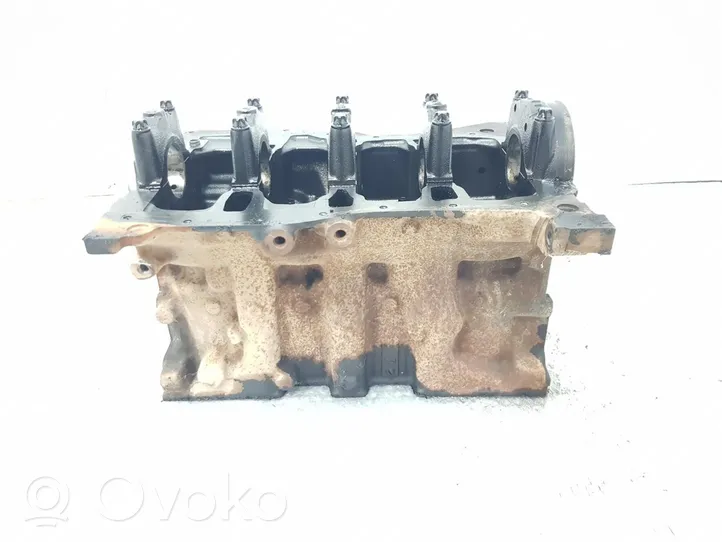 Renault Kangoo III Motorblock 110107734R