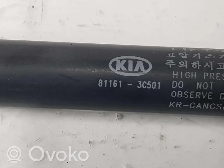 KIA Magentis Ammortizzatore portellone anteriore/cofano 811613C501