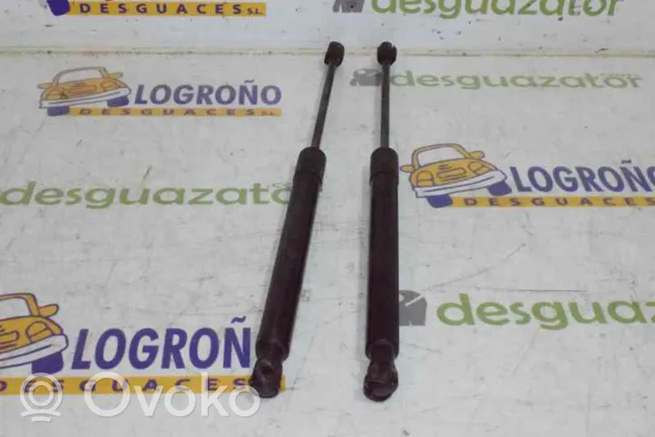 Volkswagen Golf V Ammortizzatore portellone posteriore/bagagliaio 1K6827550F