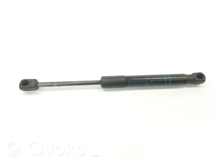 BMW 2 F22 F23 Ammortizzatore portellone anteriore/cofano 51237239233