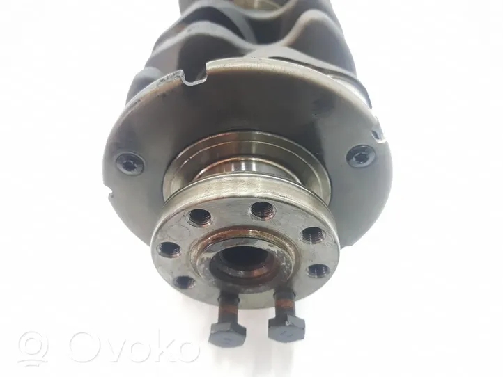 Volkswagen Transporter - Caravelle T4 Crankshaft 028105101J