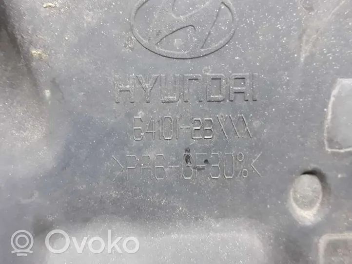 Hyundai Santa Fe Elementy przedniej części nadwozia 641012B000AS