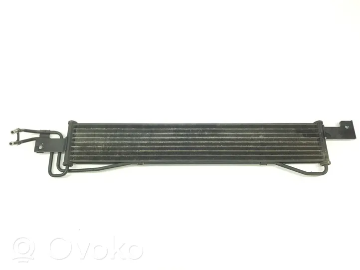 Hyundai Santa Fe Radiateur de direction assistée 254602B100