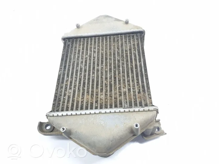 Nissan PickUp Chłodnica powietrza doładowującego / Intercooler 144613S901