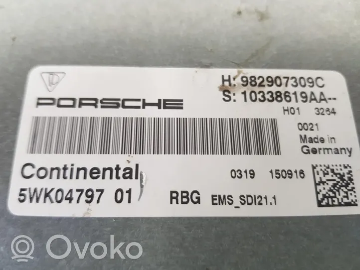 Porsche Cayman 982 Sterownik / Moduł ECU 982907309C