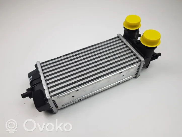 Ford Ecosport Chłodnica powietrza doładowującego / Intercooler GN11-6K775-AB