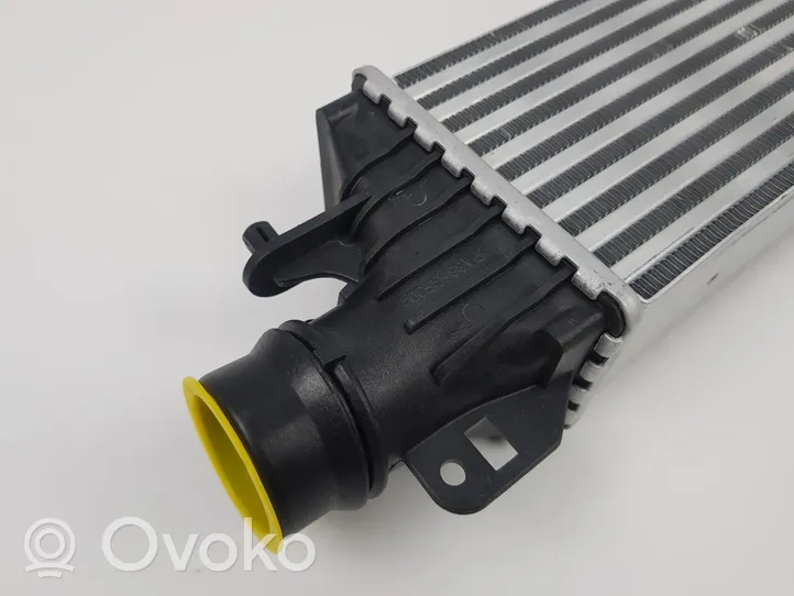 Opel Corsa E Chłodnica powietrza doładowującego / Intercooler 134402061302312