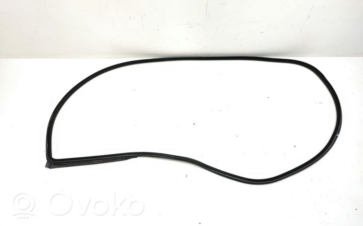 BMW 3 E92 E93 Priekinė sandarinimo guma ant kėbulo 7119091