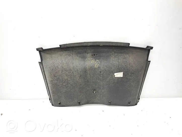 BMW 3 E92 E93 Headlining 3001705600