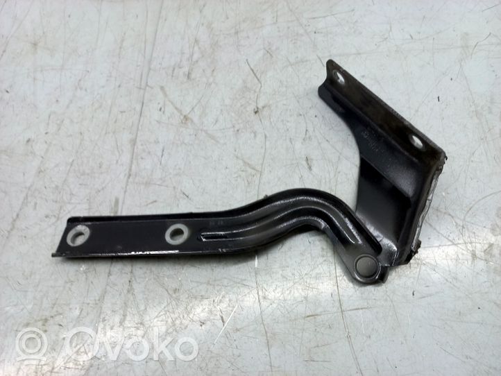 Volkswagen PASSAT B7 USA Engine bonnet/hood hinges 561823301A