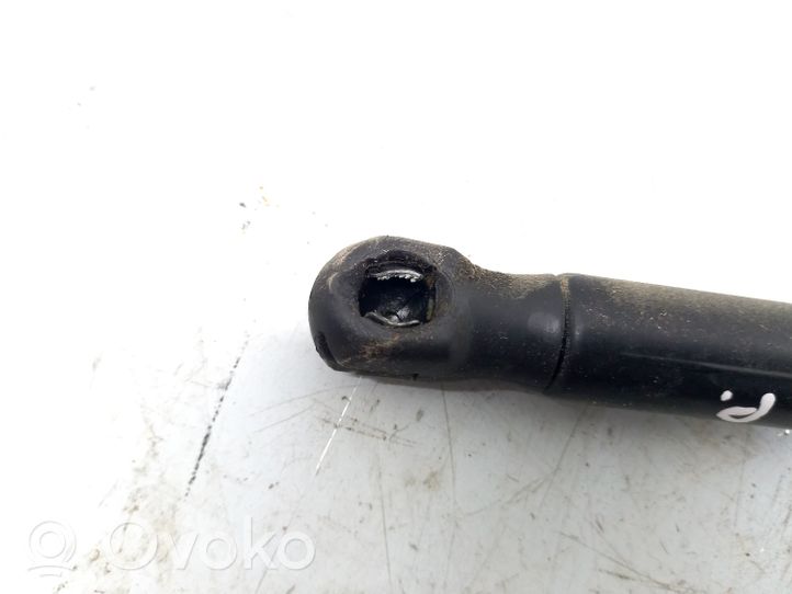 Volkswagen PASSAT CC Ammortizzatore portellone anteriore/cofano 3C8823359