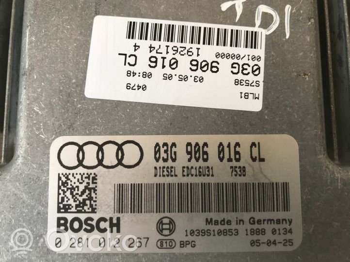 Audi A4 S4 B7 8E 8H Variklio valdymo blokas 03G906016CL