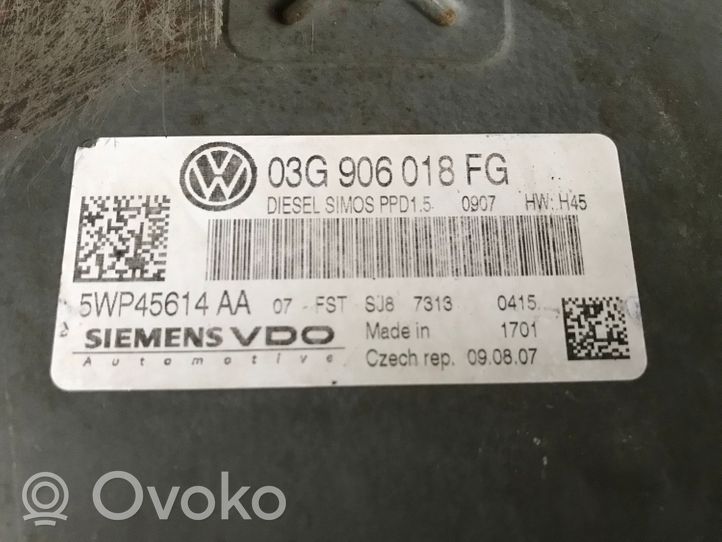 Volkswagen PASSAT B6 Centralina/modulo del motore 03G906018FG