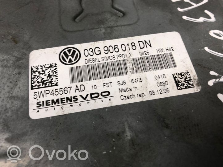 Audi A3 S3 A3 Sportback 8P Sterownik / Moduł ECU 03G906018DN