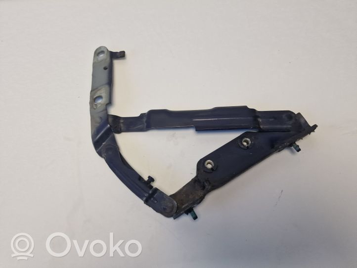 Volkswagen New Beetle Tailgate/trunk/boot hinge 1C0827302D