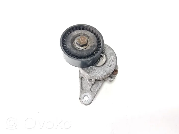 Volkswagen Golf VII Tendicinghia generatore/alternatore 04L903315A