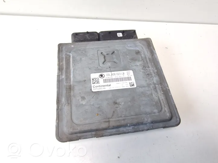 Skoda Octavia Mk2 (1Z) Sterownik / Moduł ECU 03L906023LP