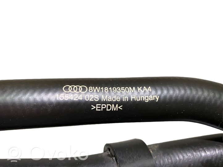 Audi S5 Facelift Engine coolant pipe/hose 8W1819350M