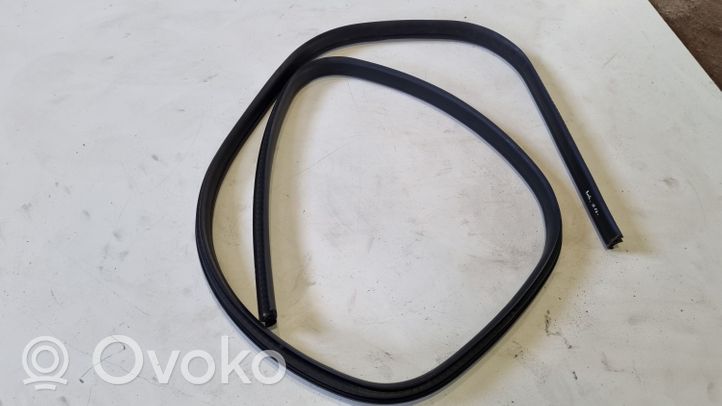 Ford Focus Rubber seal rear door 