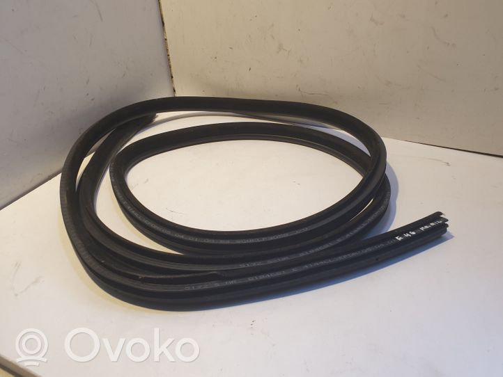 BMW 3 E46 Rear door rubber seal (on body) 8194681