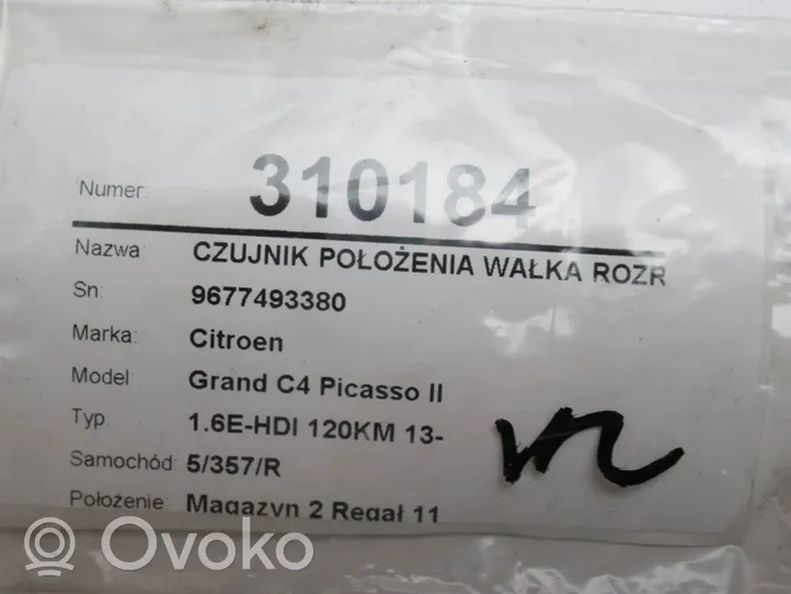 Citroen C4 Grand Picasso Nokka-akselin asentoanturi 9677493380
