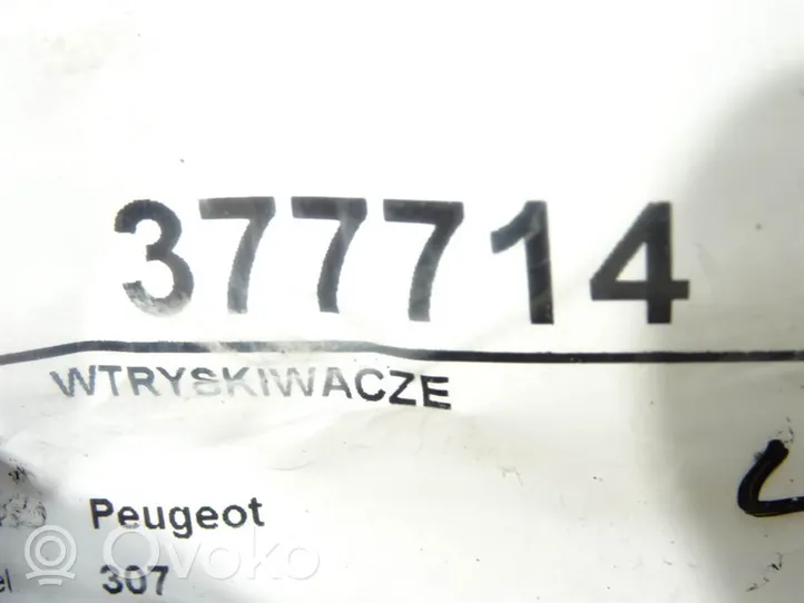 Peugeot 307 Wtryskiwacze / Komplet 0445110078
