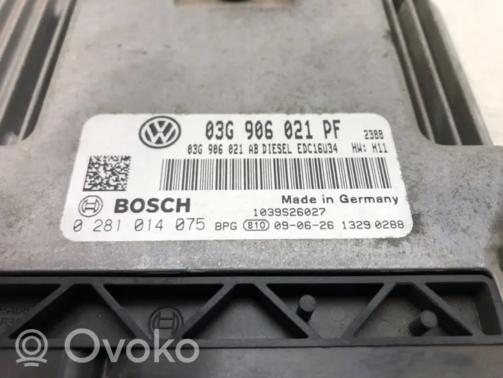 Volkswagen Caddy Unité de commande, module ECU de moteur 03G906021PF