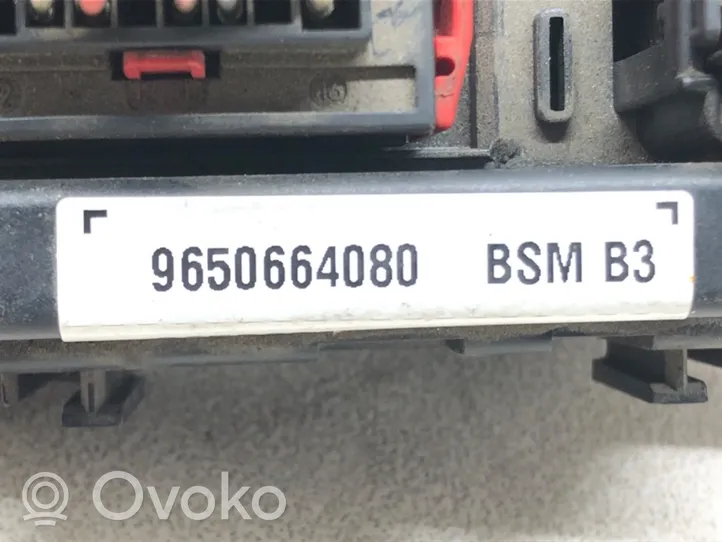 Peugeot 307 BSM Valdymo blokas 9650664080