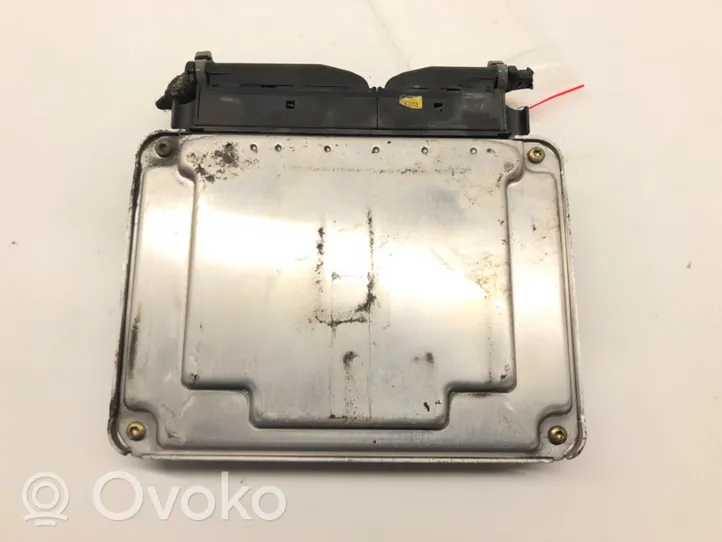 Volkswagen Bora Unité de commande, module ECU de moteur 038906019DD