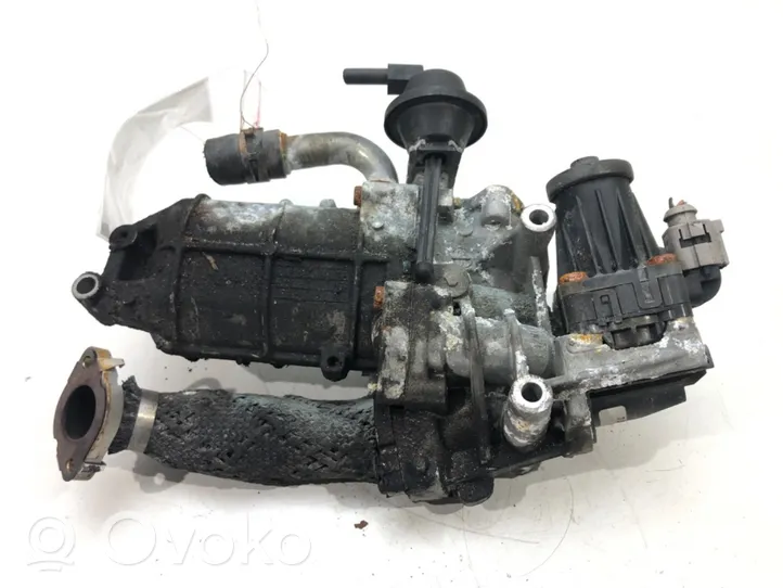 Citroen C6 EGR valve 