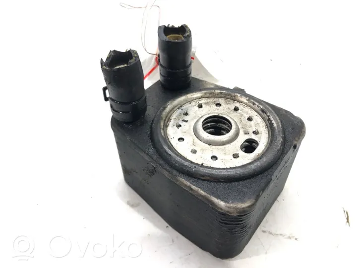 Skoda Superb B6 (3T) Engine oil radiator 038117021D