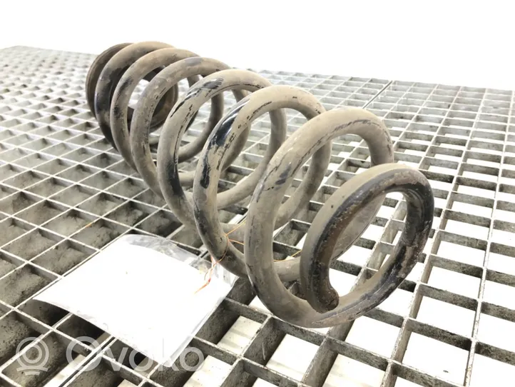 Volkswagen Tiguan Rear coil spring 