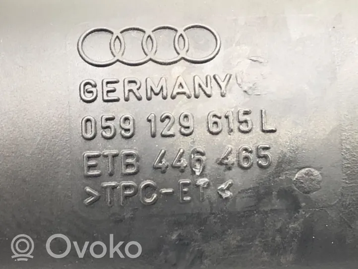 Audi A6 C7 Žarna (-os)/ vamzdis (-džiai) 059129615L