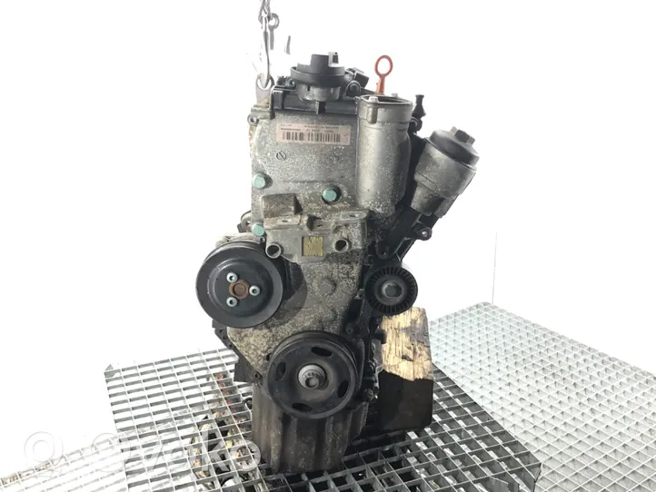 Volkswagen Golf V Engine BLF