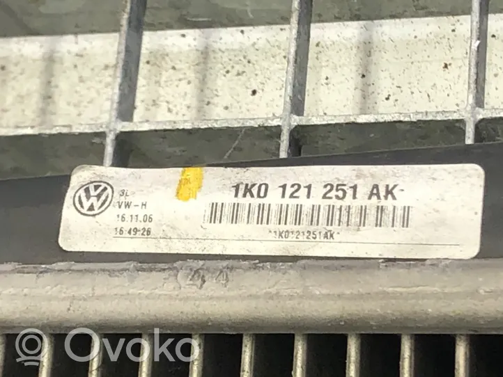 Seat Leon (1P) Aušinimo skysčio radiatorius 1K0121251AK