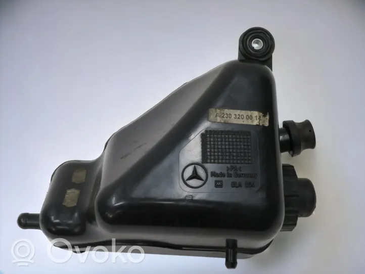 Mercedes-Benz SL R230 Serbatoio/vaschetta del liquido del servosterzo A2303200014