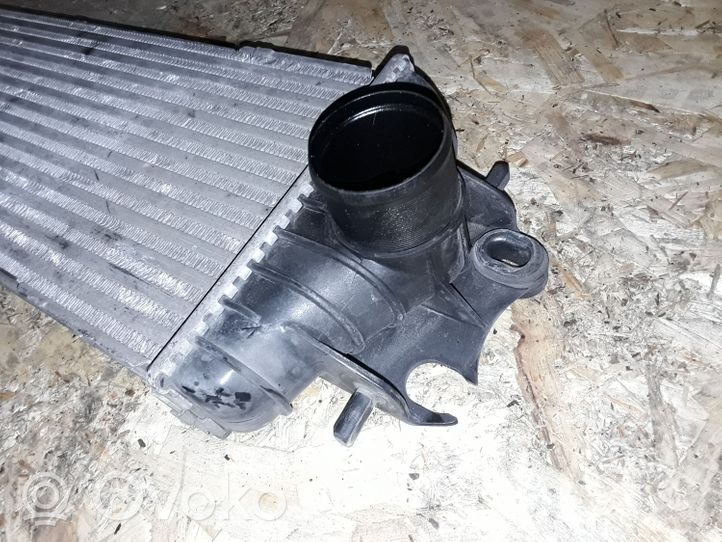 Renault Trafic II (X83) Radiatore intercooler 