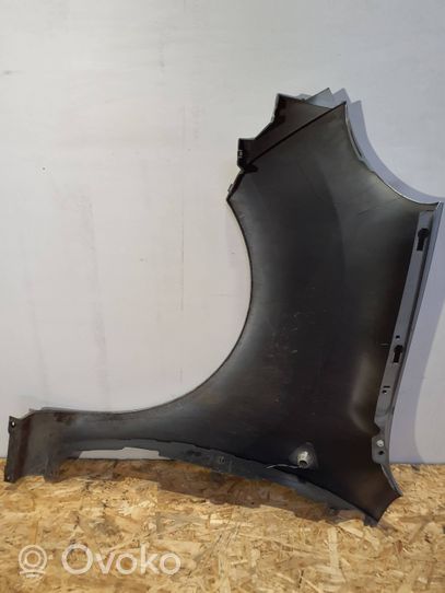 Renault Kangoo II Fender 631002009R