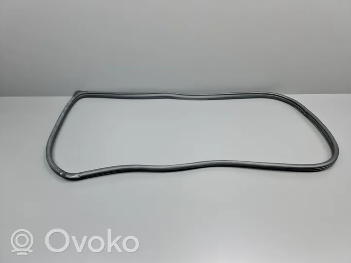 Honda CR-V Rear door rubber seal (on body) 