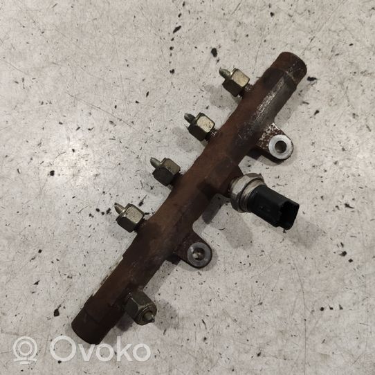 Renault Megane II Kraftstoffverteiler Einspritzleiste Verteilerrohr 8200397346