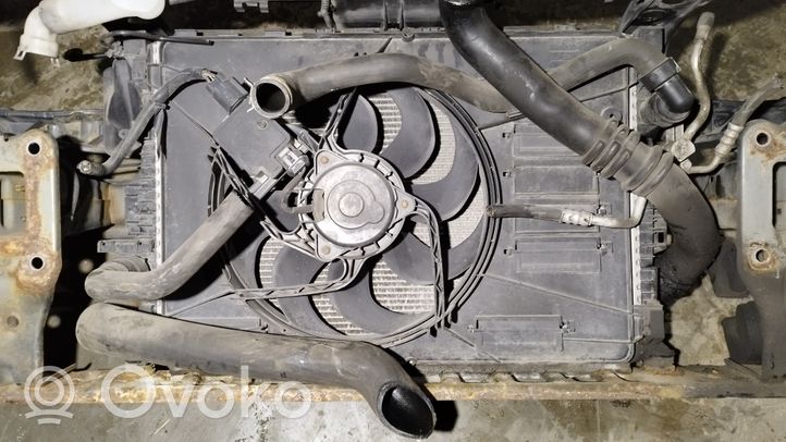 Ford Mondeo MK IV Pannello di supporto del radiatore 