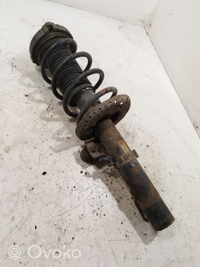 Volkswagen Polo IV 9N3 Front shock absorber with coil spring 6Q0413031CD