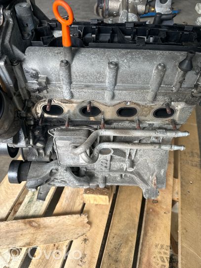 Audi A3 S3 8P Engine BLF