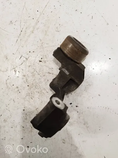 Nissan Qashqai Generator/alternator belt tensioner 